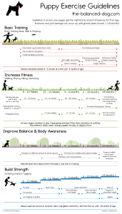 puppy exercise guidelines, puppy exercise chart