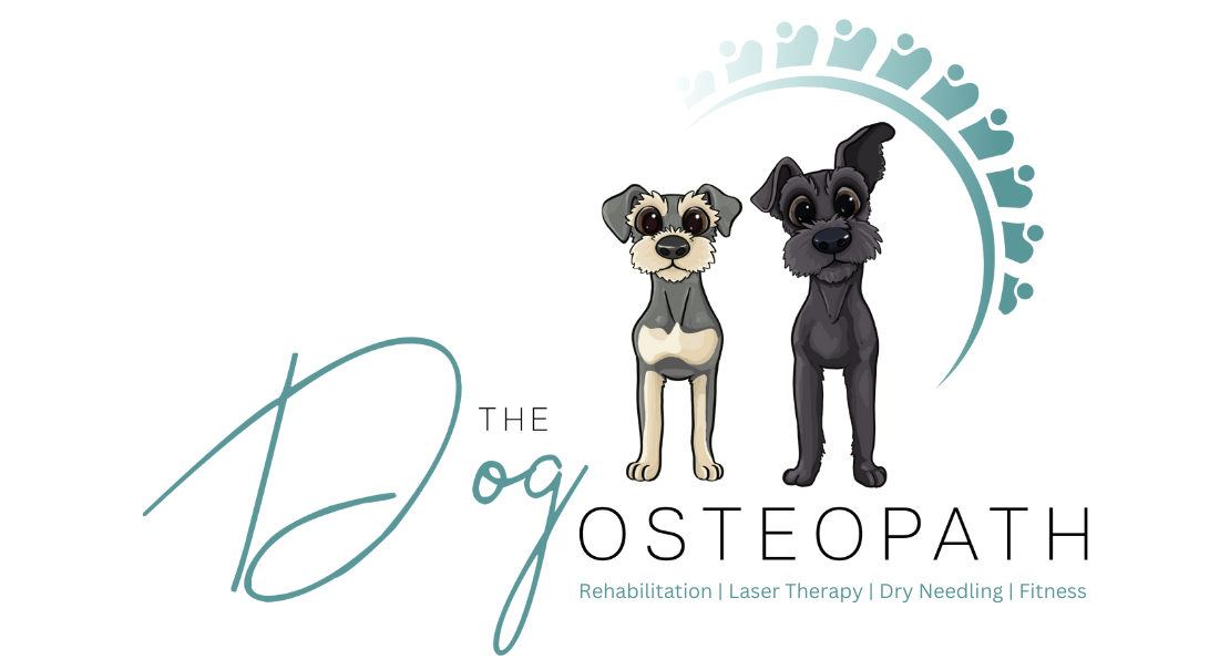 the dog osteopath